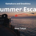 tokyo travel