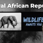 Central African Republic Travel