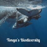 Tonga Travel