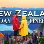 New Zealand Travel