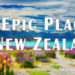 New Zealand Travel
