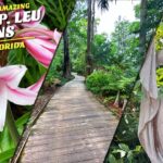 Harry P. Leu Gardens