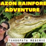 Tambopata National Reserve