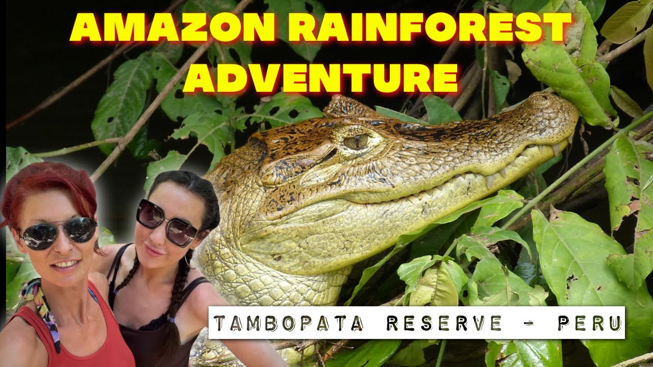 Tambopata National Reserve