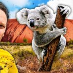 Australia Travel