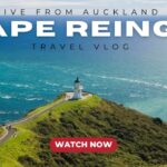 New Zealand Travel