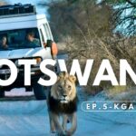 botswana travel