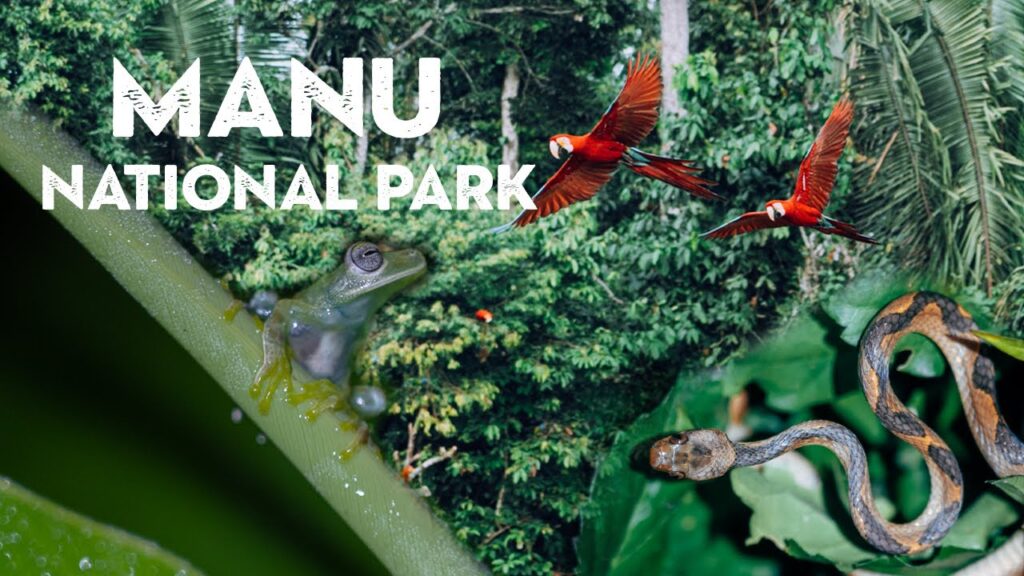 Manu National Park