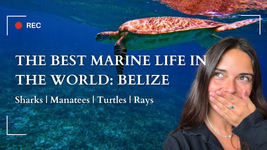 Belize Travel