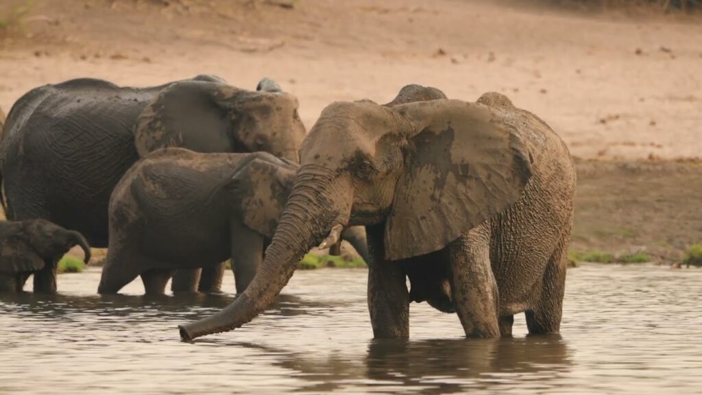 botswana travel