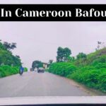 cameroon travel