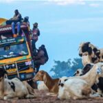 Central African Republic Travel