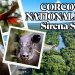 Costa Rica Travel