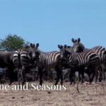 botswana travel