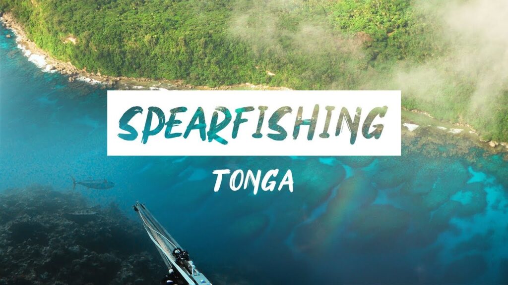 Tonga Travel
