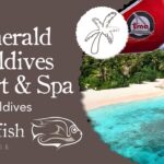 maldives travel