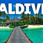 maldives travel guide
