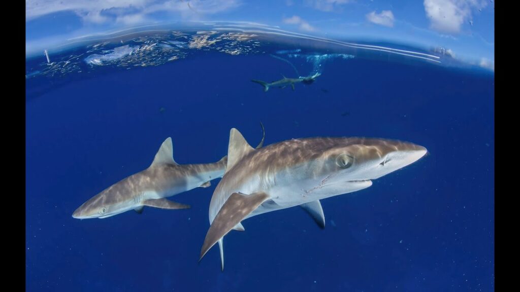 Marshall Islands Travel