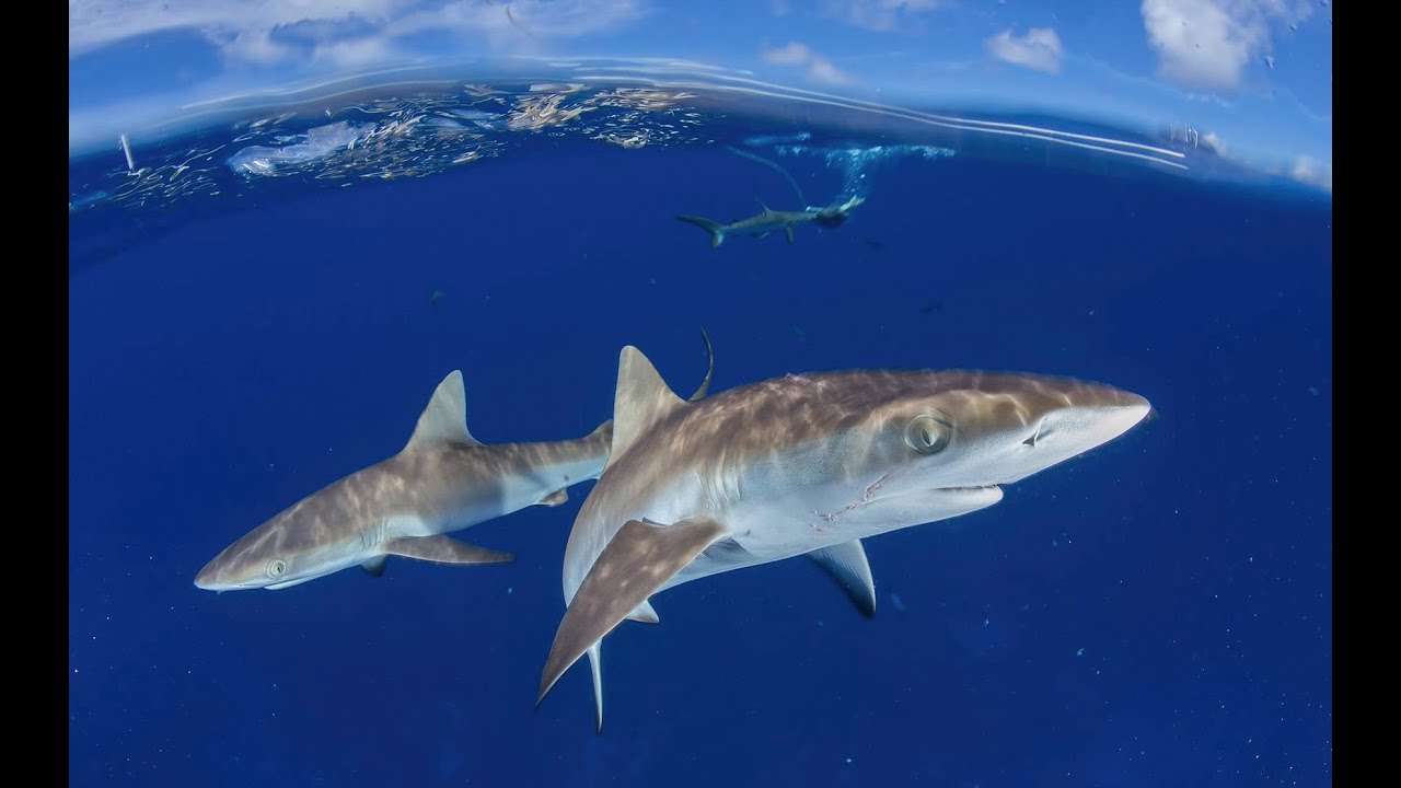 Marshall Islands Travel