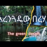 Ethiopia Travel