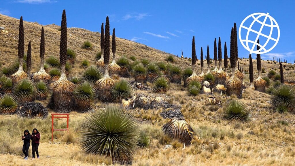 Huascarán National Park