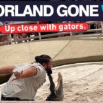 Gatorland