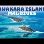 maldives travel