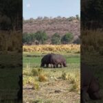 botswana travel