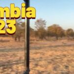 Zambia Travel