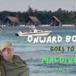 maldives travel