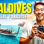 maldives travel guide
