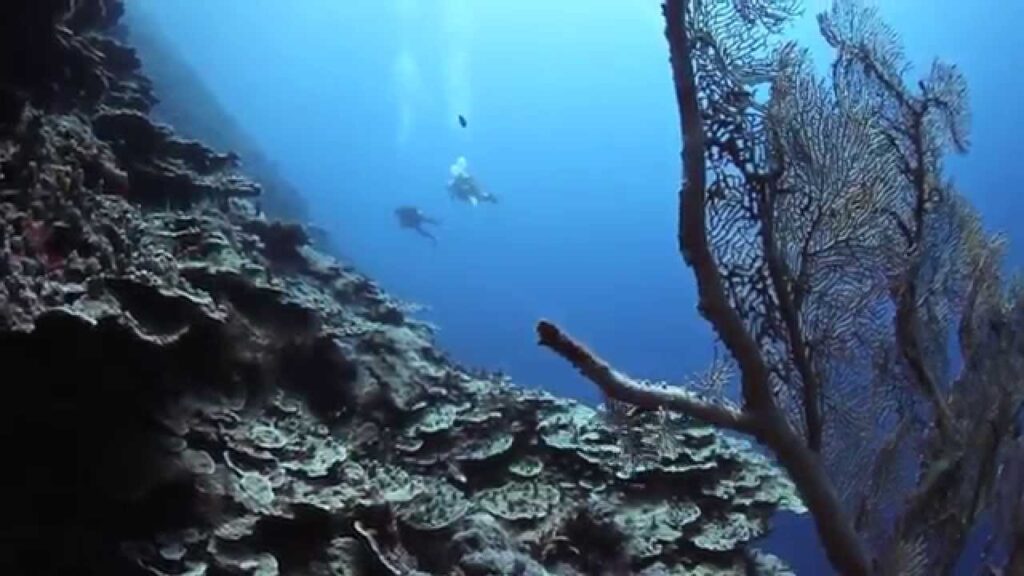 Marshall Islands Travel