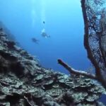 Marshall Islands Travel