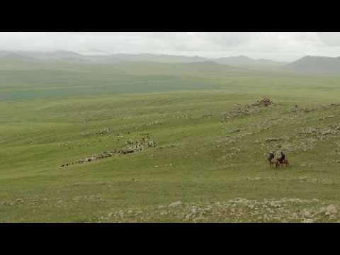 Mongolia Travel