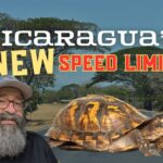 Nicaragua Travel