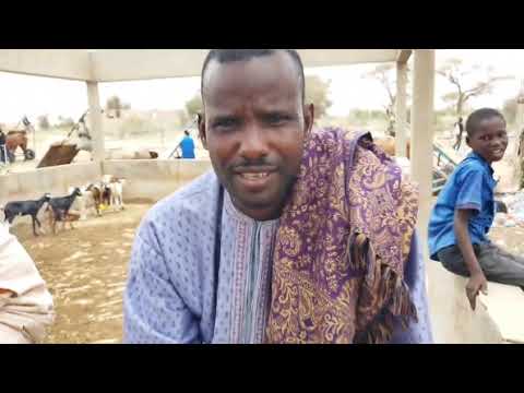 Senegal Travel