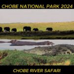 botswana travel