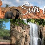 botswana travel