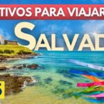 Salvador BA Travel