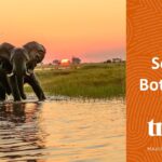 botswana travel