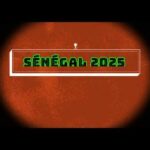 Senegal Travel