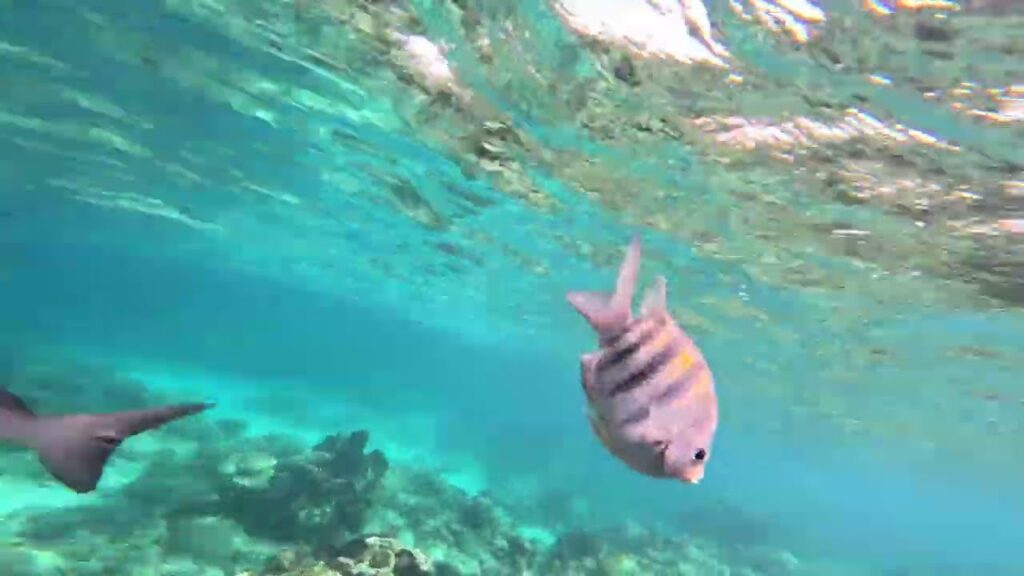 Honduras Travel