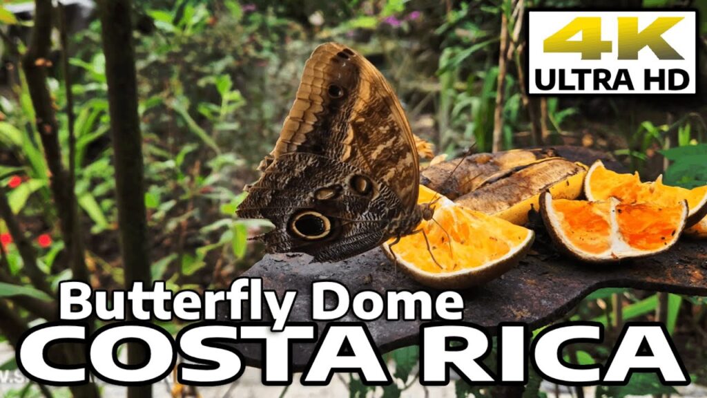 Costa Rica Travel
