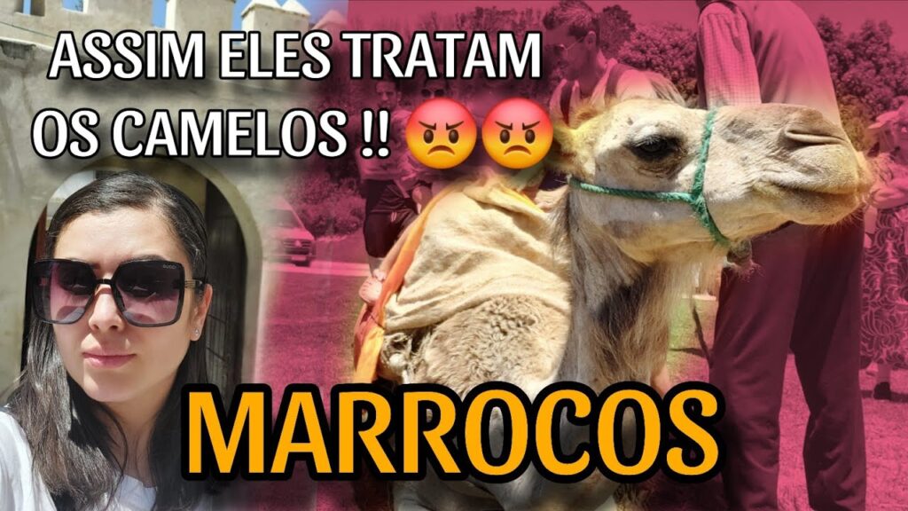 morocco travel