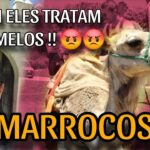 morocco travel