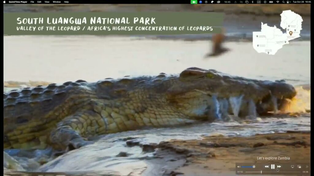 Zambia Travel