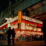 tokyo travel