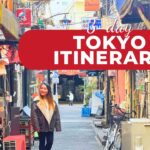 tokyo travel