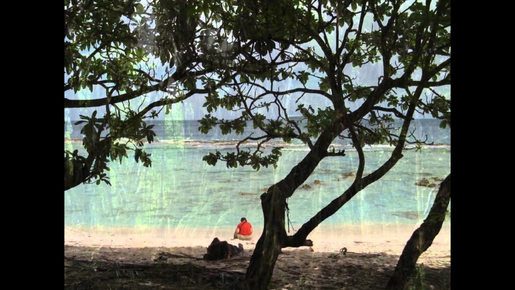 Tonga Travel