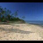 Tonga Travel